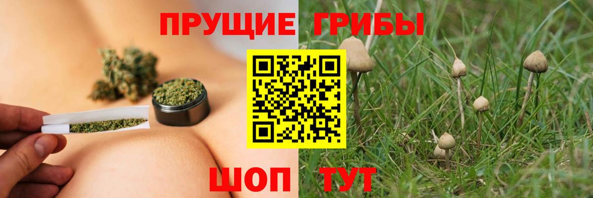 Галлюциногенные грибы прущие грибы  Галлюциногенные грибы мицелий  дарнет шоп  Вход с VPN  Апрелевка 